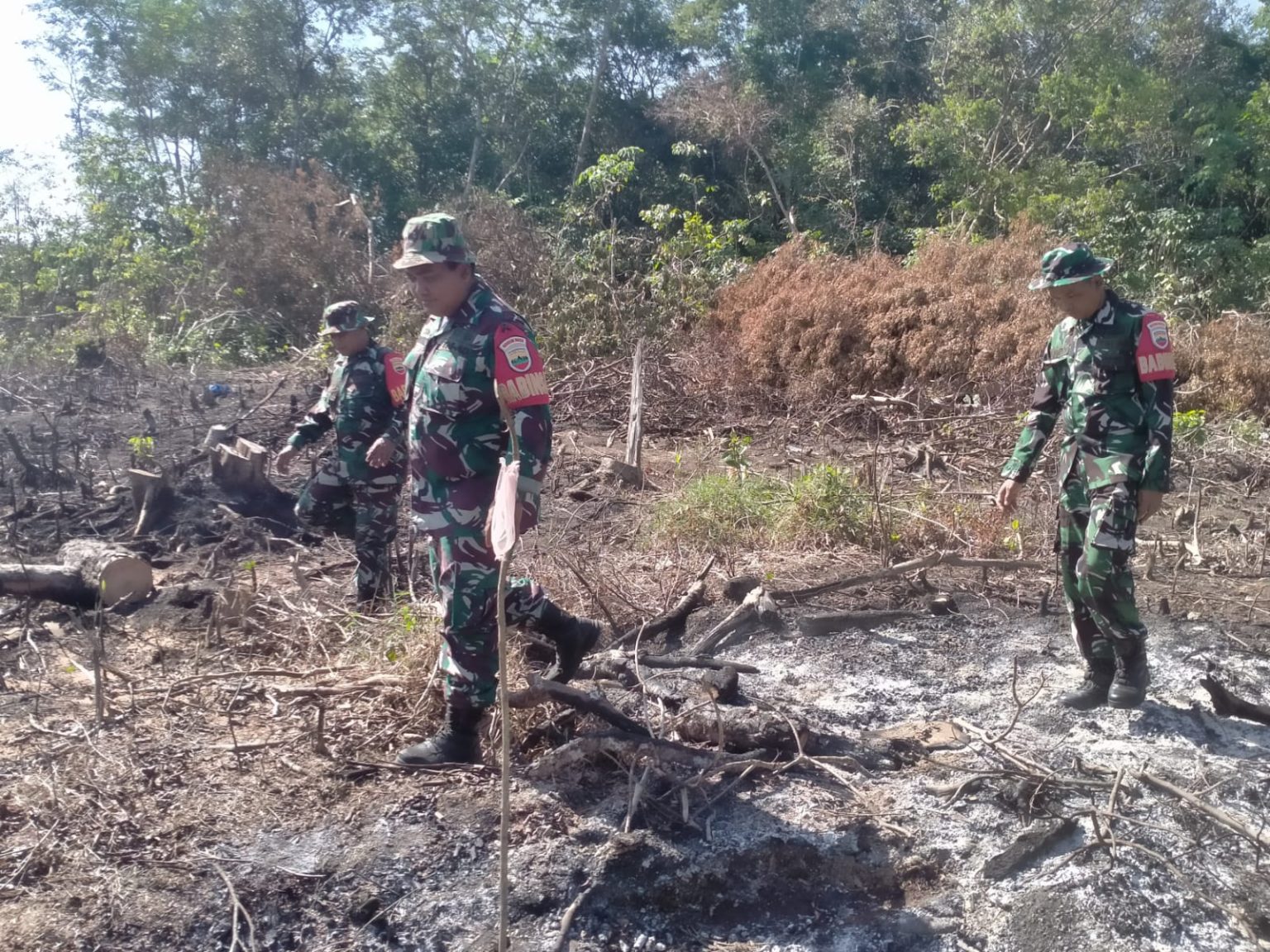 ...