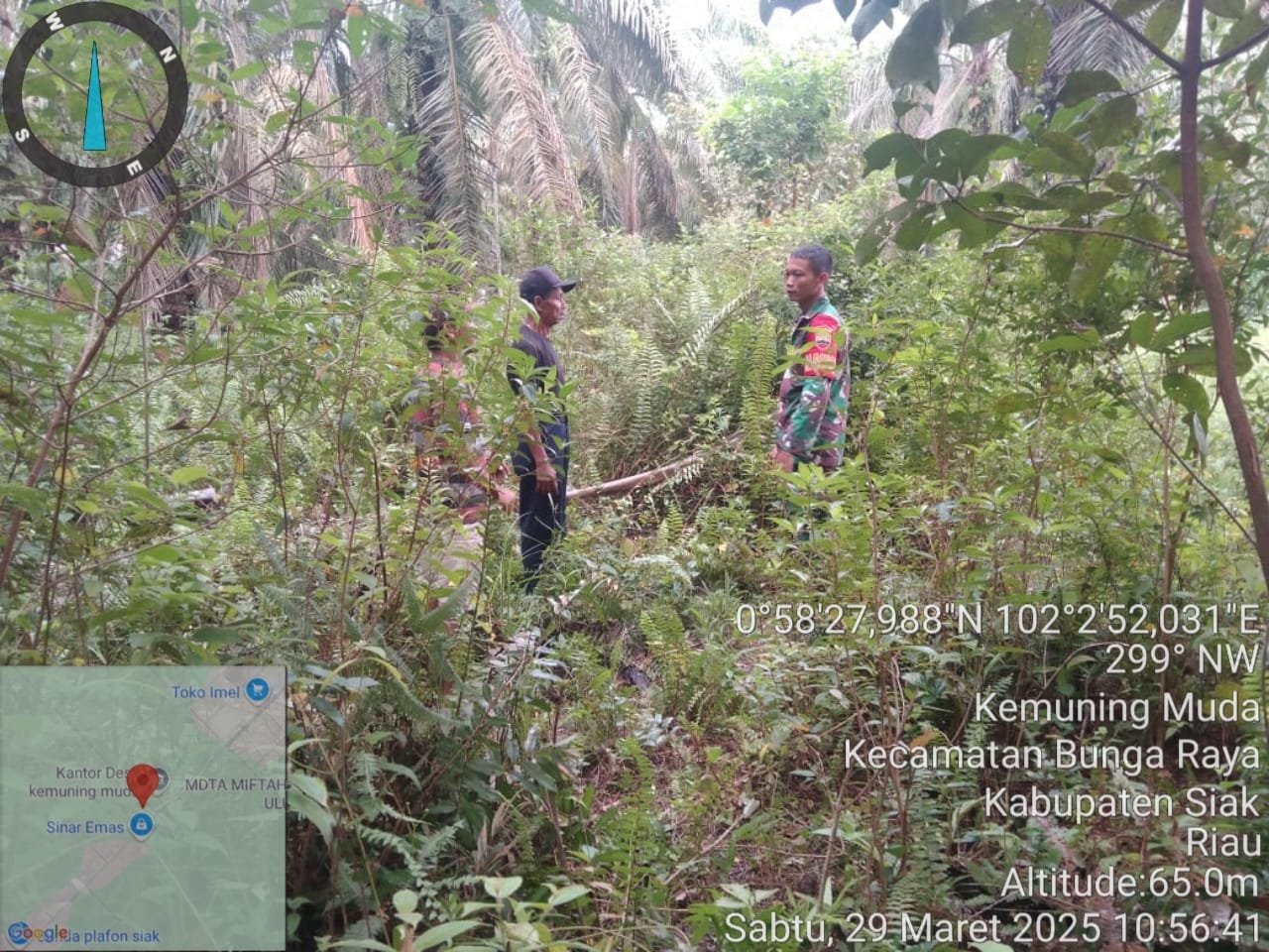 Patroli Jaga Hutan: Babinsa Sabak Auh Pastikan Kemuning Muda Bebas Karhutla
