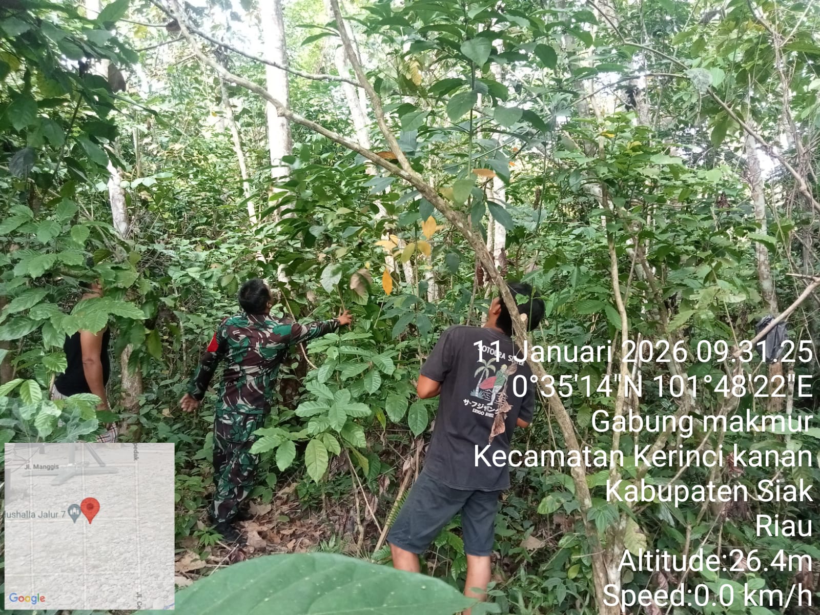 ...