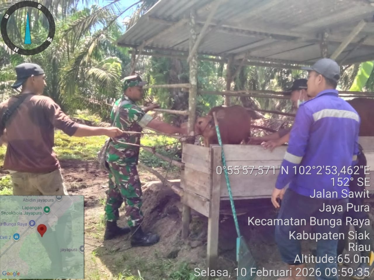 ...